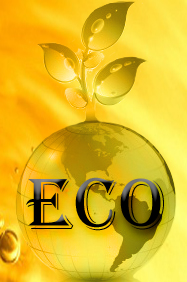 Eco Friendly Green Cooking Oil Restaurants